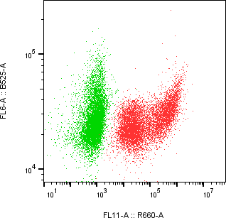 Rabbit-anti LAP region of TGF-&beta;1 monoclonal antibody