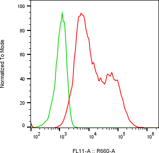 Rabbit-anti CRLF2 monoclonal antibody