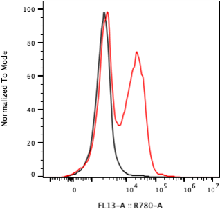 Rabbit-anti C1S monoclonal antibody