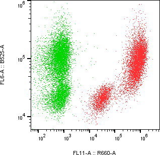 Rabbit-anti CYTL1 monoclonal antibody