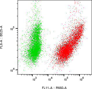 Rabbit-anti SMOC1 monoclonal antibody