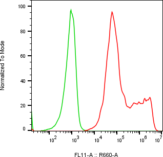 Rabbit-anti NCSTN monoclonal antibody