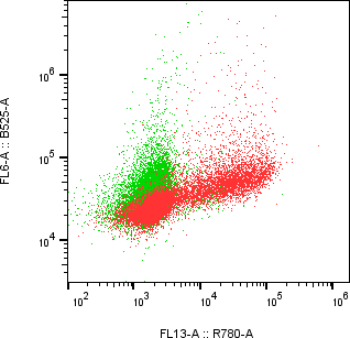 Rabbit-anti MADCAM1 monoclonal antibody