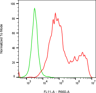 Rabbit-anti LRRN1 monoclonal antibody