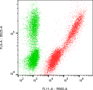 Rabbit-anti IGSF8 monoclonal antibody