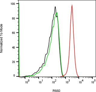 Rabbit-anti VEGFC monoclonal antibody