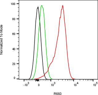 Rabbit-anti FSTL1 monoclonal antibody
