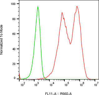 Rabbit-anti GM-CSF monoclonal antibody