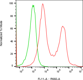 Rabbit-anti APOA4 monoclonal antibody
