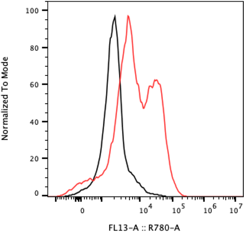 Rabbit-anti NTF4 monoclonal antibody