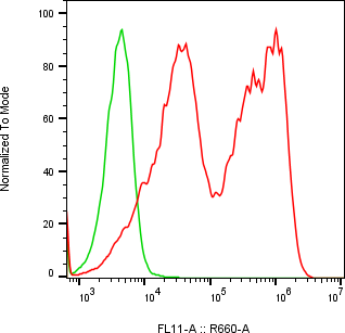 Rabbit-anti AMY2A monoclonal antibody