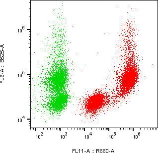 Rabbit-anti TFF3 monoclonal antibody
