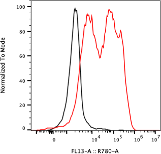Rabbit-anti PDGFRB monoclonal antibody
