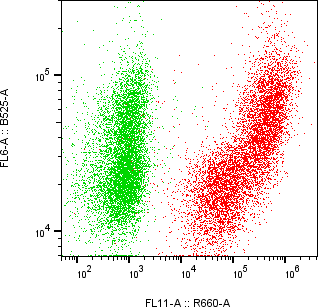 Rabbit-anti LCN1 monoclonal antibody