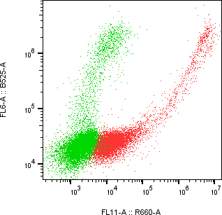 Rabbit-anti IL13RA1 monoclonal antibody