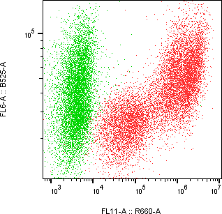 Rabbit-anti GNRH1 monoclonal antibody