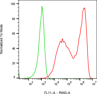Rabbit-anti HEPACAM monoclonal antibody