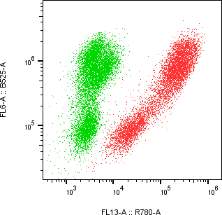Rabbit-anti CCL18 monoclonal antibody