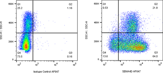 Rabbit-anti SEMA4D monoclonal antibody
