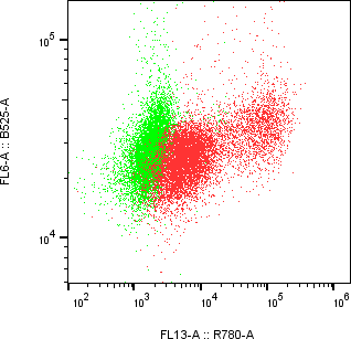 Rabbit-anti CD99 monoclonal antibody