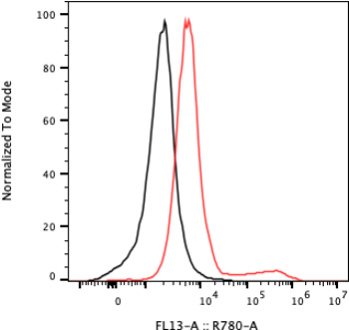 Rabbit-anti KIRREL1 monoclonal antibody