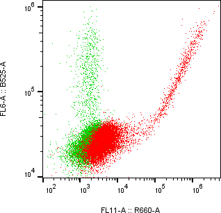 Rabbit-anti CD84 monoclonal antibody