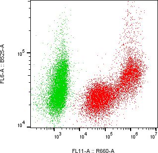 Rabbit-anti MMP3 monoclonal antibody