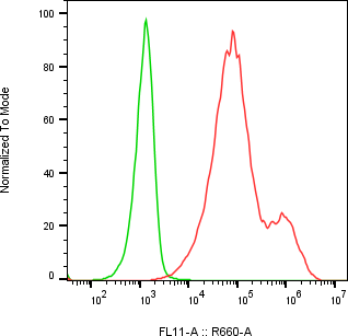 Rabbit-anti IL7 monoclonal antibody