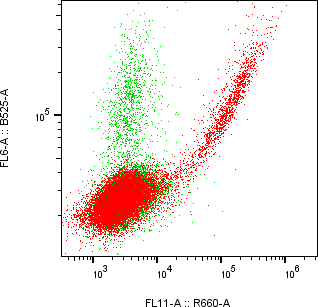 Rabbit-anti CDH3 monoclonal antibody