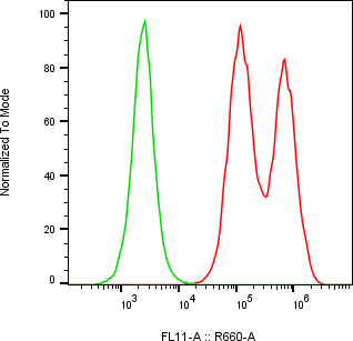 Rabbit-anti CXCL2 monoclonal antibody