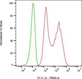 Rabbit-anti WFDC1 monoclonal antibody