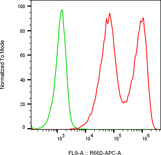 Rabbit-anti SPINK1 monoclonal antibody