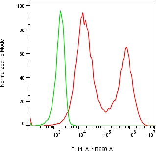 Rabbit-anti AVP monoclonal antibody