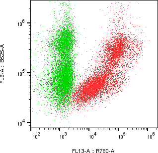 Rabbit-anti FLT3LG monoclonal antibody