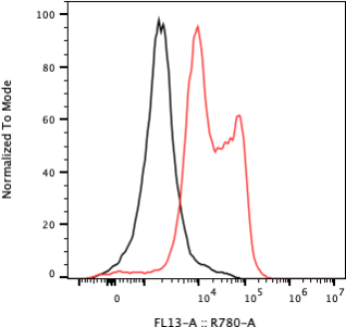 Rabbit-anti IL11 monoclonal antibody