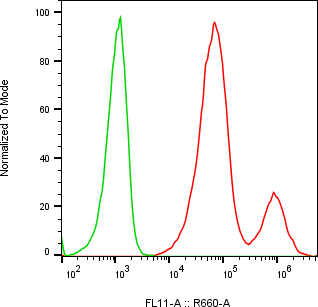 Rabbit-anti IL2RG monoclonal antibody