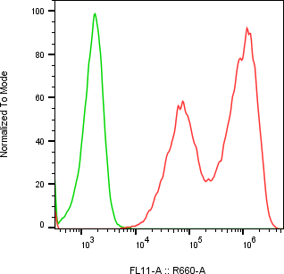 Rabbit-anti INSL4 monoclonal antibody