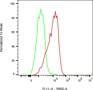 Rabbit-anti SEMA4B monoclonal antibody