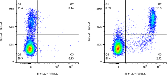 Rabbit-anti CD300LF monoclonal antibody