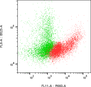 Rabbit-anti CD300LB monoclonal antibody