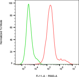 Rabbit-anti CD69 monoclonal antibody