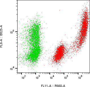 Rabbit-anti IL3 monoclonal antibody