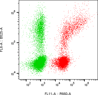 Rabbit-anti SPN monoclonal antibody