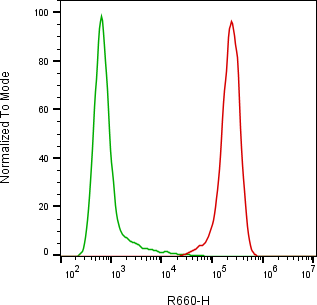 Rabbit-anti CD46 monoclonal antibody