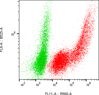 Rabbit-anti SPINK13 monoclonal antibody