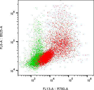 Rabbit-anti SDC1 monoclonal antibody