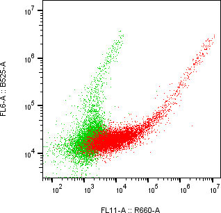 Rabbit-anti GPNMB monoclonal antibody