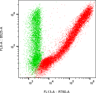 Rabbit-anti AMHR2 monoclonal antibody