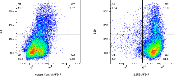 Rabbit-anti IL2RB monoclonal antibody