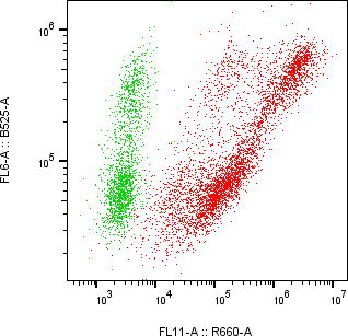 Rabbit-anti CNTFR monoclonal antibody
